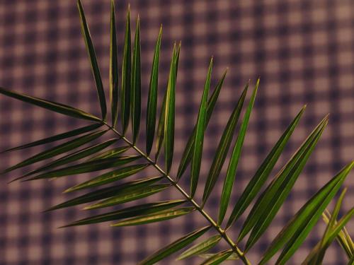  Ibis Wien Mariahilf in Wien