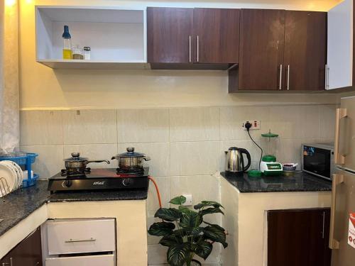 Thika Section 2 one bedroom apartment in Thika