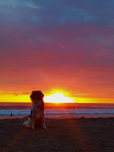 Casa bohio surf in Jaco