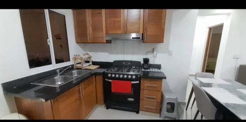 Alto independencia E101 in 聖佩德羅德馬科里斯