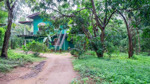 Sigiri Sithum homestay - image 4