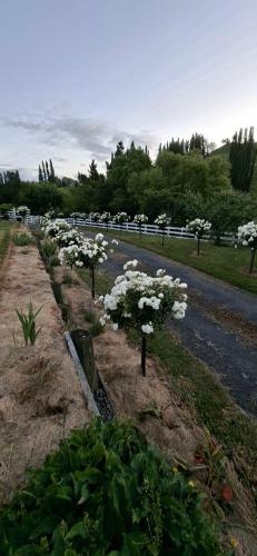 puutarha, Lifestyle block Entire House in Taihape