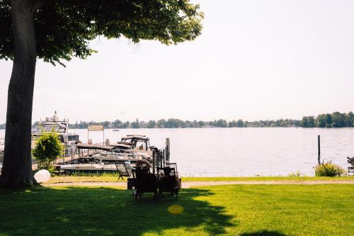 Photo of the accommodation