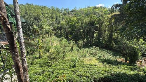 Forest Garden Cottages in 데라니야갈라