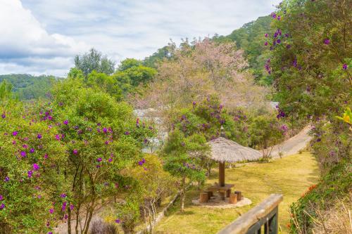 Casa Gaia Mountain Retreat - Dalat
