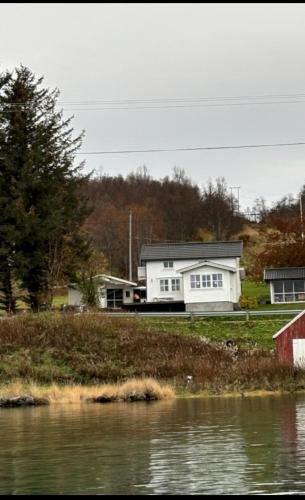. Bjarkøy , harstad
