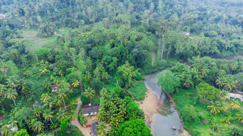 Rainforest Jungle Chill Singharaja in Deniyaya