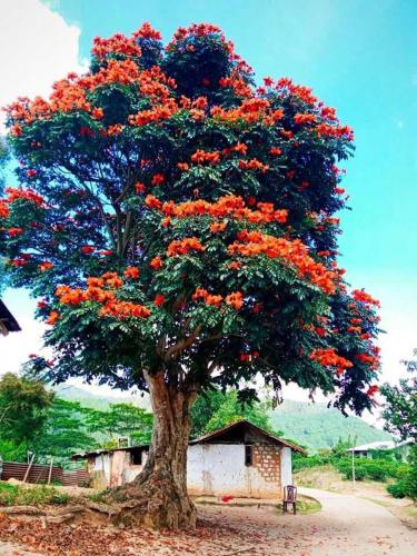 Browns Hill Villa - Ella in Mugunumatha West