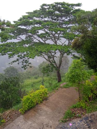 Browns Hill Villa - Ella in Mugunumatha West
