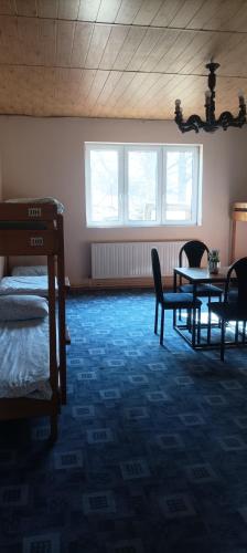 Magura Camp in Nowica