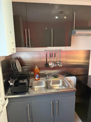 Appartement prestigieux et lumineux proche centre ville in Rosieres-pres-Troyes