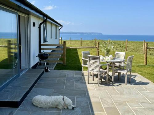 2 Bed in Abbotsham oc-g28822 gîte à louer Lakenose Rock