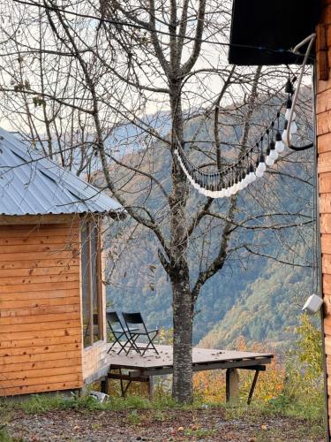 . Panoramic Wood Cabin
