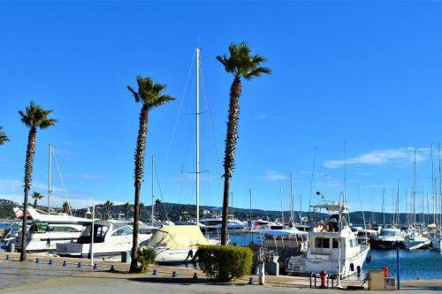 CA790-425 APPARTEMENT 2 PIÈCES POUR 4 Personnes À CAVALAIRE SUR MER - image 4
