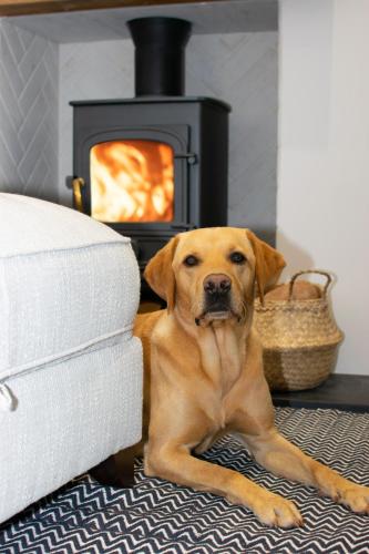 2 Bed in Newlyn oc-oldbak, Newlyn (fotografie 9)