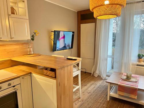 Apartament Ligota Małopolska (Apartament Ligota Malopolska) in Panewniki