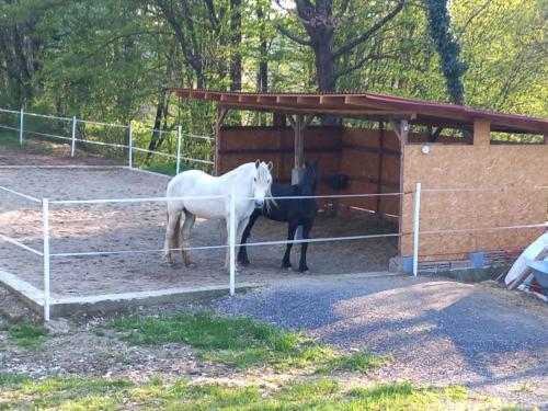 Gästehaus Gerersdorf (Gastehaus Gerersdorf) in Gerersdorf Bei Gussing