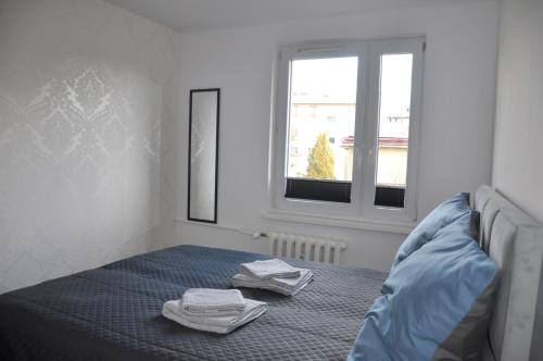 Apartament Sienkiewicza in Nowy Sacz