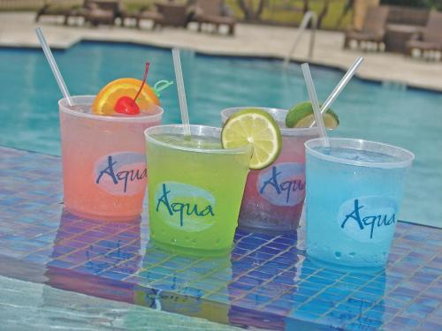 Treasure Bay Casino & Hotel-Adults Age 21 and Above in Biloxi, USA