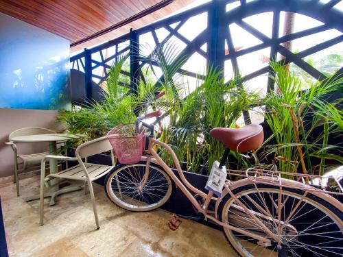 Menesse Apartments in Tulum, Mexico