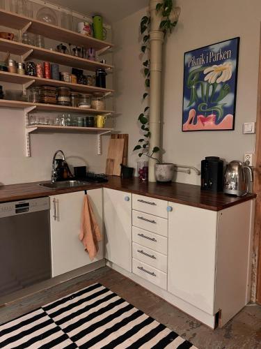 Cosy apartment in a quiet, central neighborhood in Sagene
