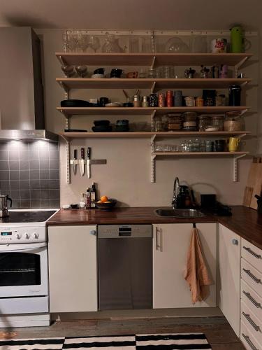 Cosy apartment in a quiet, central neighborhood in Sagene