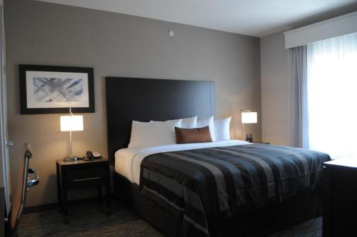 1 king bed