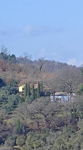 Country House - Casa Raffaella di Michele e Sven in Allerona