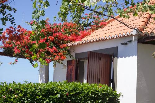 Faja dos Padres gîte à louer Câmara do Bispo