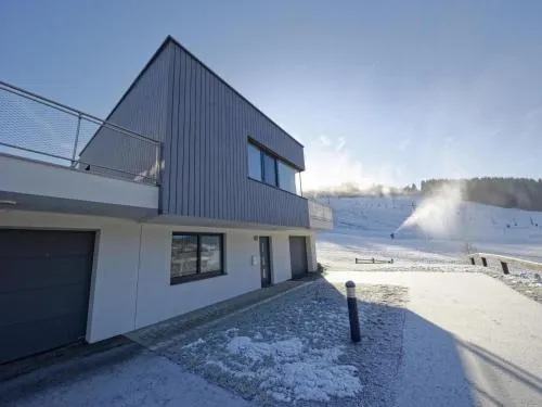 Winzerchalet in Sankt Lambrecht, Österreich