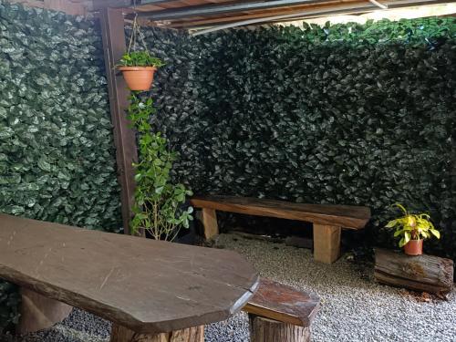Cabaña de montaña Queca (Cabana de montana Queca) in 普阿西多