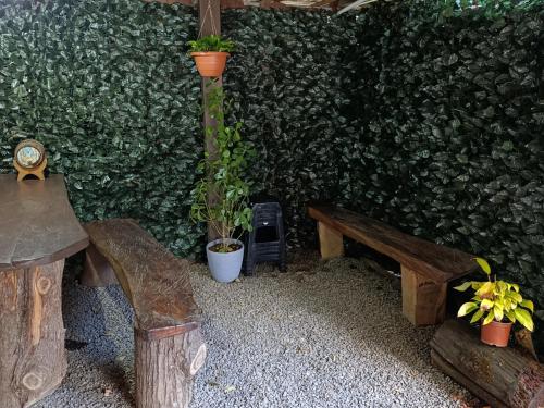 Cabaña de montaña Queca (Cabana de montana Queca) in 普阿西多