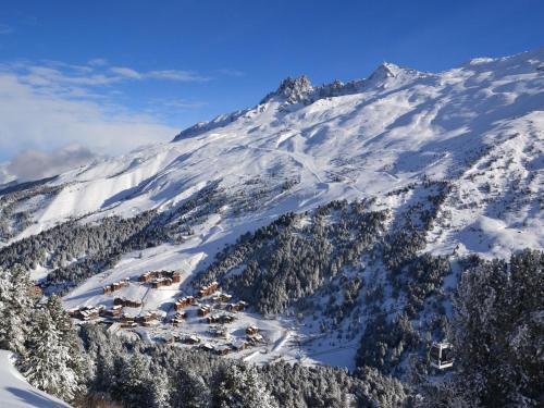 Spacious flat in M ribel near the ski lifts Meribel