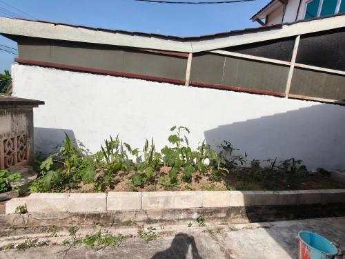 Homestay Cikgu in กัวมูซาง