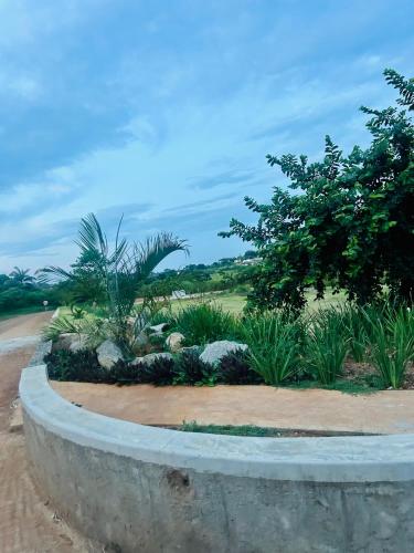 Blush Pink Retreat in Mpolonjeni