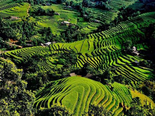 Skyview Khánh Đinh (Skyview Khanh Đinh) in Hoang Su Phi
