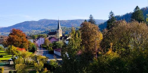 Le Gite des Fleurs in Ramonchamp