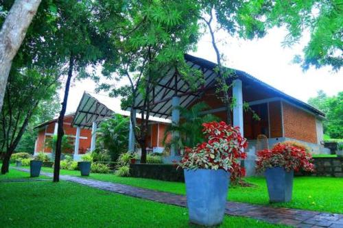 . Villa viverra