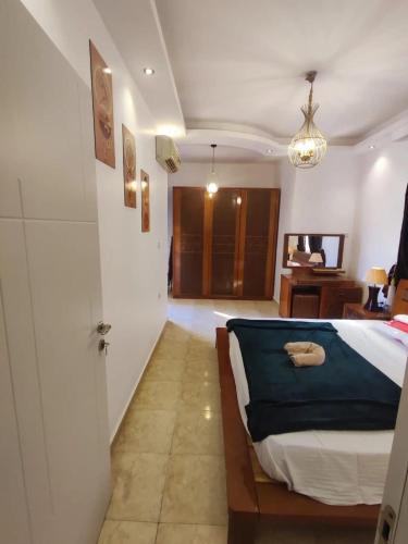 View pool for rent in magawish - image 5