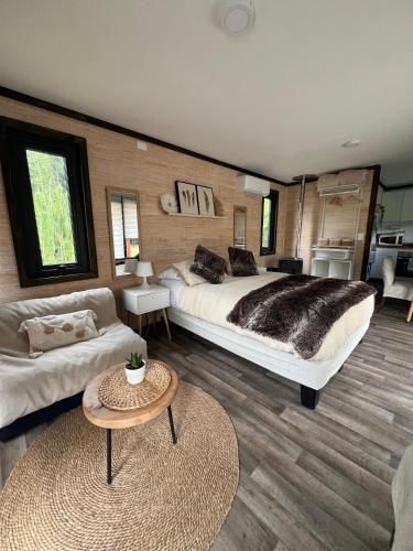 Tiny House 2 a 3 per Malalcahuello Wifi Satelital