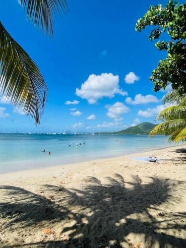 Beach, Maison, 5 minutes a pied de la plage in Sainte-Anne