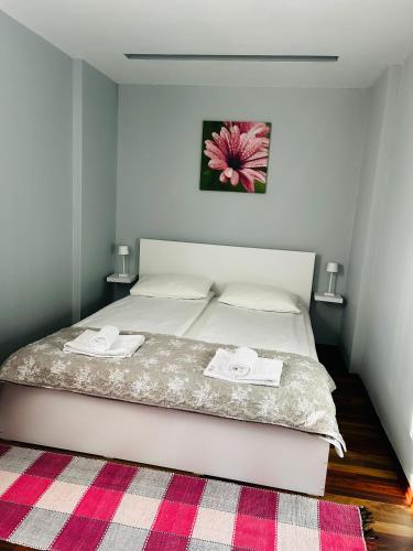 IANIS Apartment in Orastie