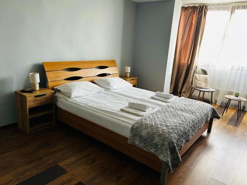 IANIS Apartment in Orastie