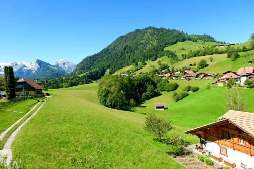 Apkārtne, Comfortable quiet apartement with great view in Diemtigen