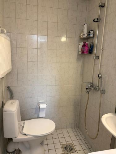 Centre of Lahti, cosy and convenient! in ลาห์ติ