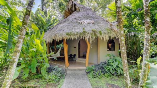 Cariblue Beach and Jungle Resort in Puerto Viejo de Talamanca