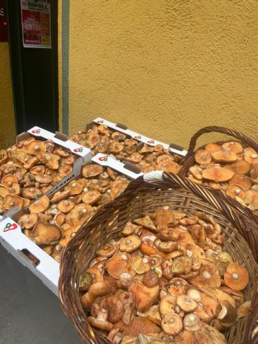 Hostal Ripollès (Hostal Ripolles) in Ripoll
