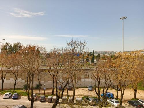 Apartamento acogedor 3