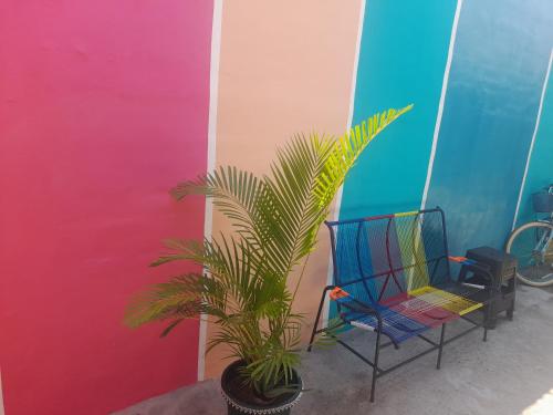 Private Rooms in Juayua
