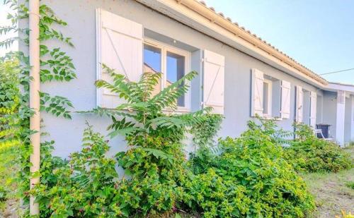 La Maison Bleue avec Jacuzzi et piscine - Location saisonnière - Soulac-sur-Mer